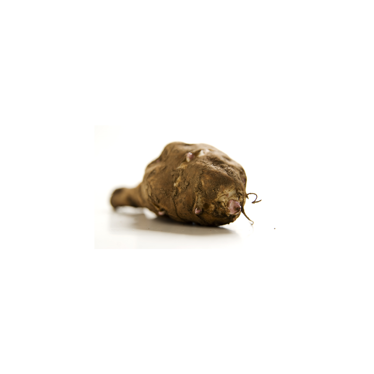 Jerusalem artichoke "Topstar" organic food tuber