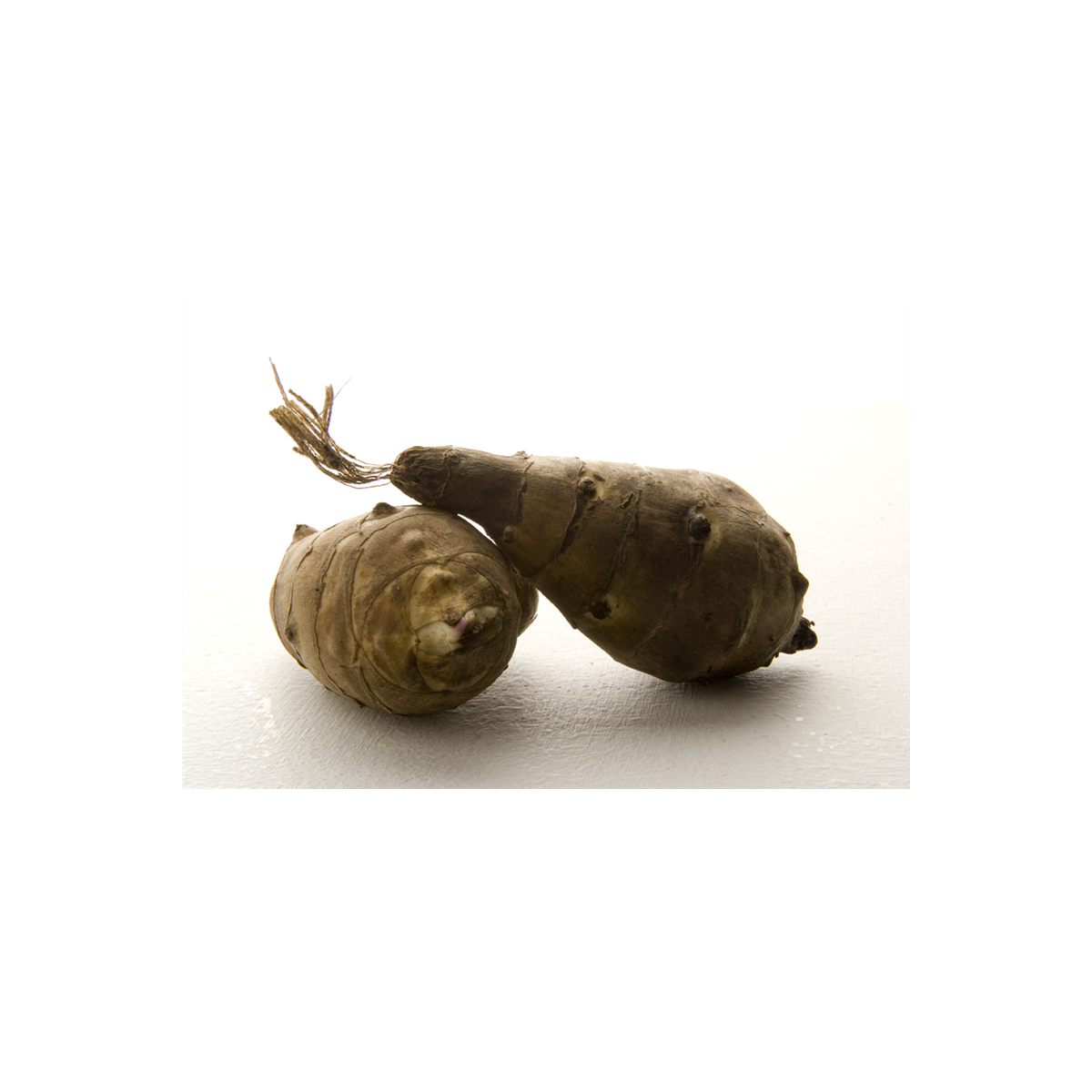 Discover Jerusalem Artichoke: Book &5 tubers